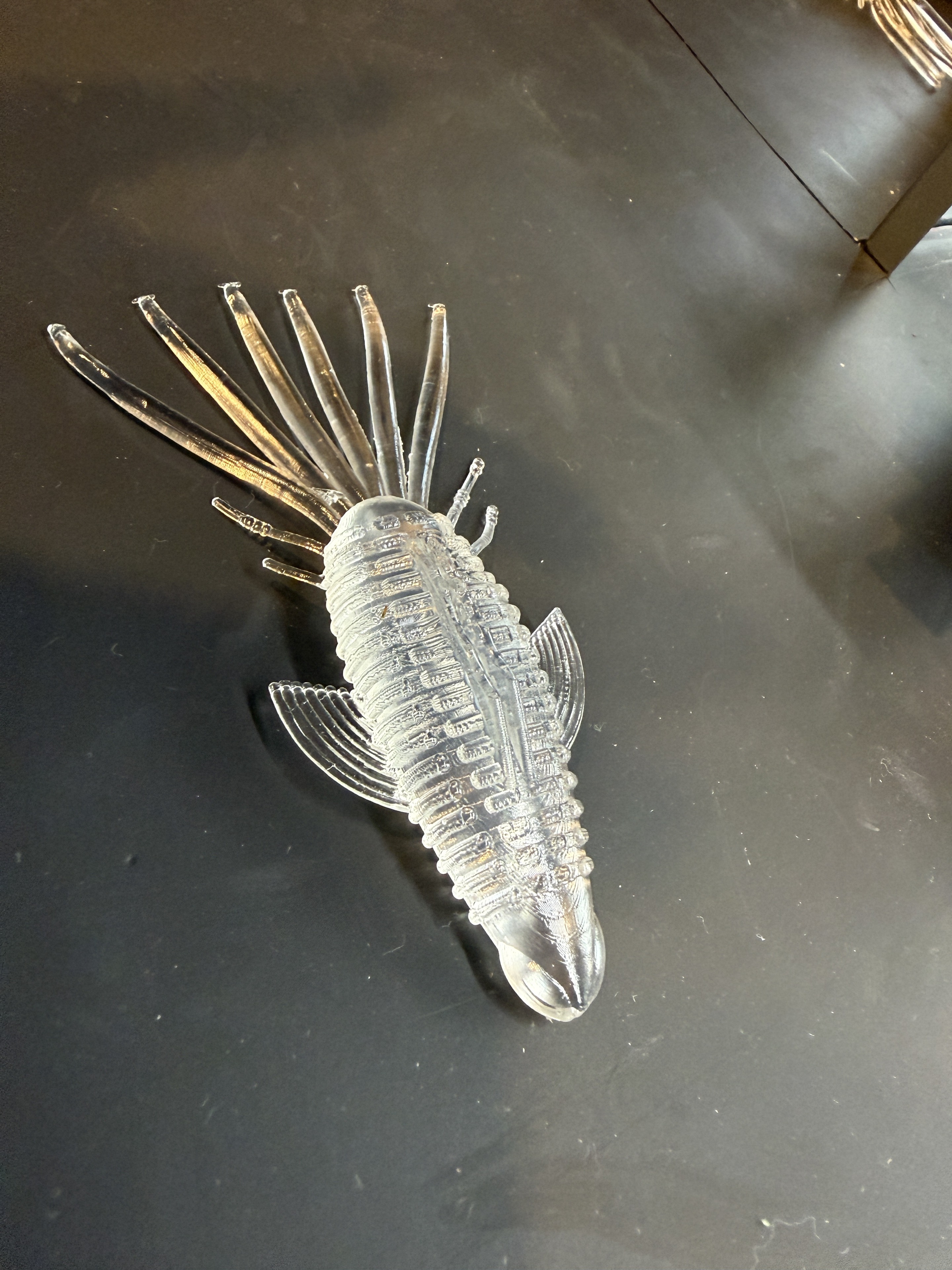 Clear Pad Bug prototype on a dark workbench, showing its body, fins, and tail appendages