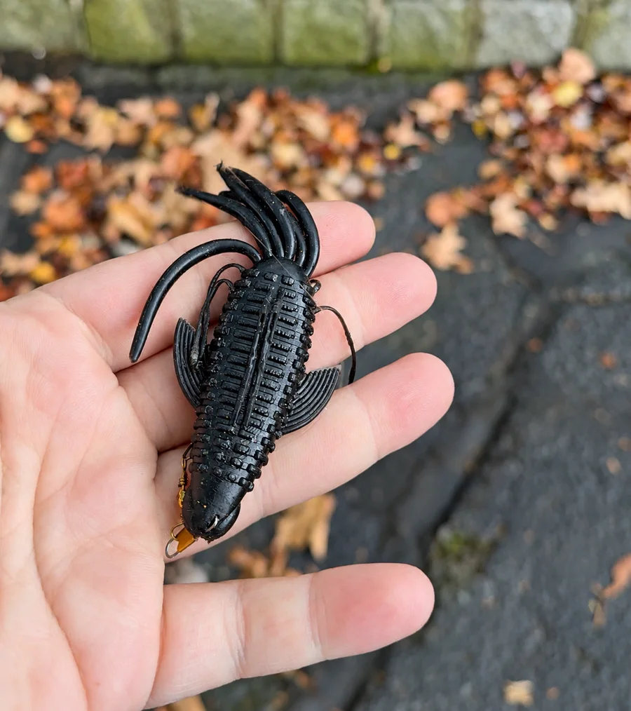 Real black Pad Bug prototype resting in hand outdoors, showing the rigging and scale